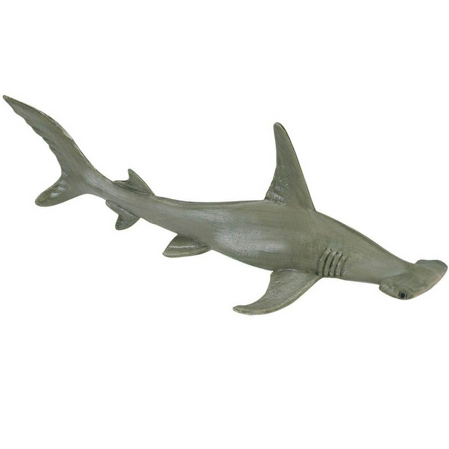 Safari Kladivoun Bronzový 274829