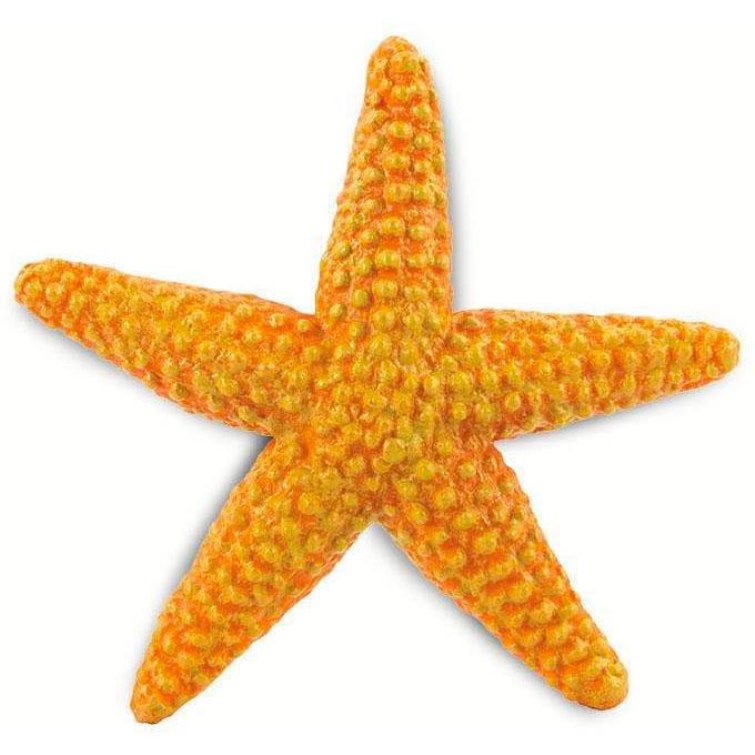 Safari Hvězdice Oranžová 276829