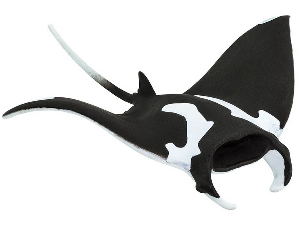 Safari Rejnok Manta - Manta Obrovská 100096