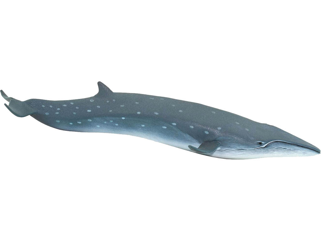 Safari Plejtvák Sejval 100098