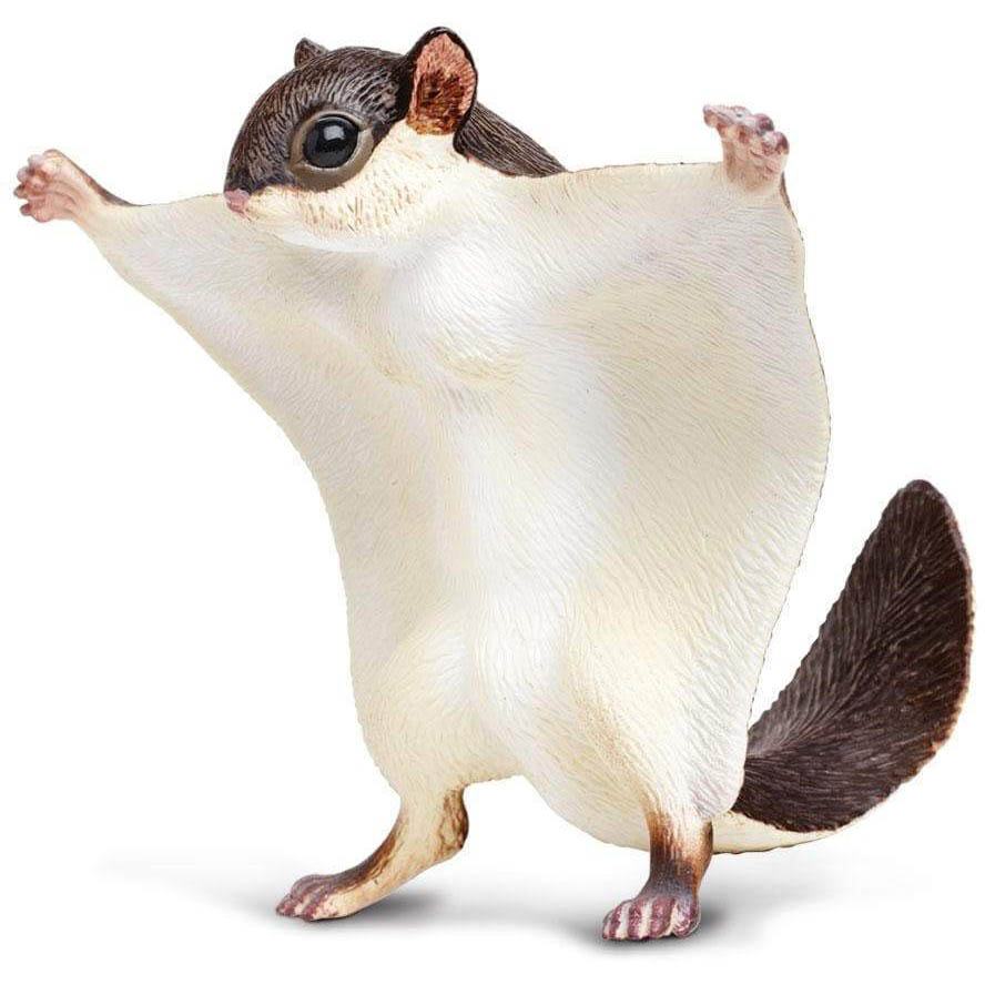 Safari Létající veverka - Poletucha Vlnatá 250229