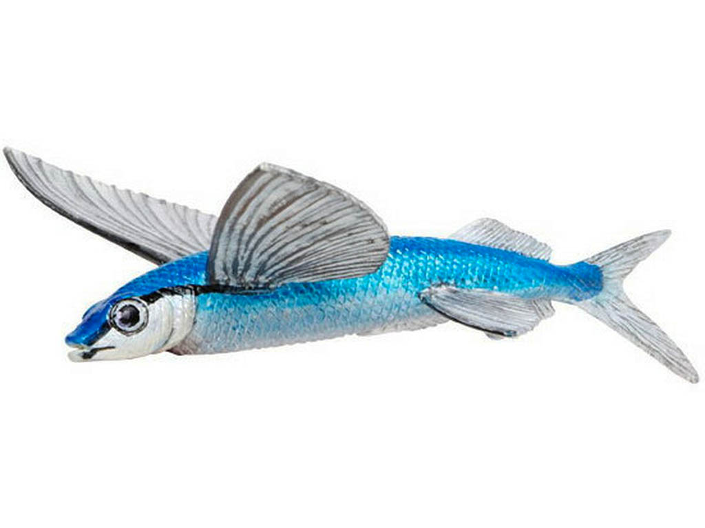 Safari Letoun měkkoploutvý 263529