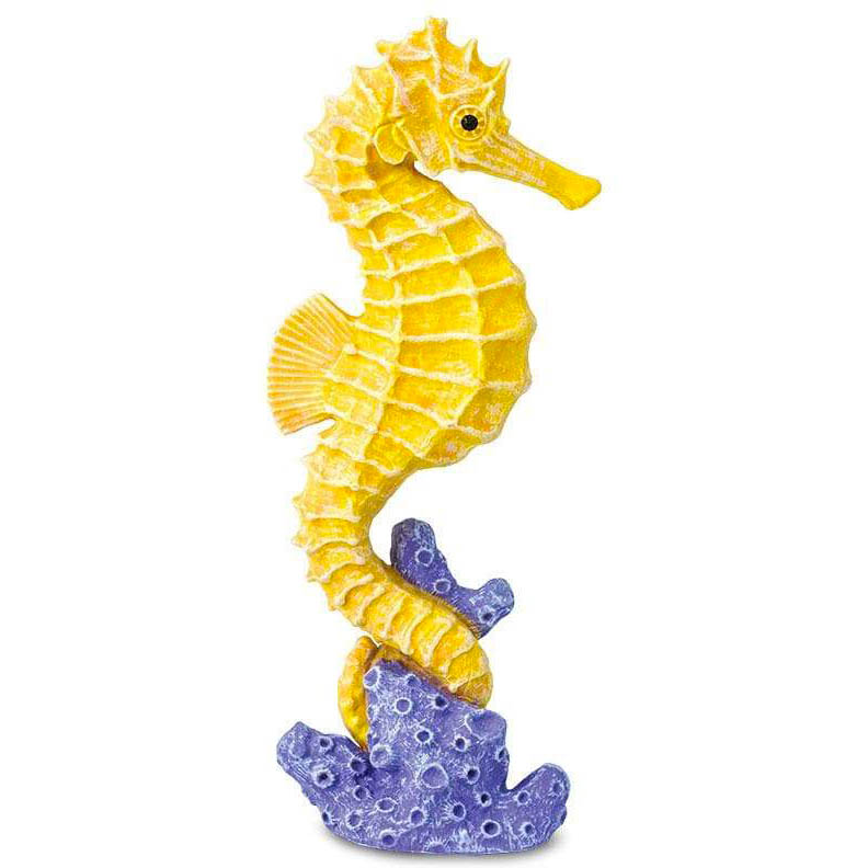 Safari Koníček Mořský 204329