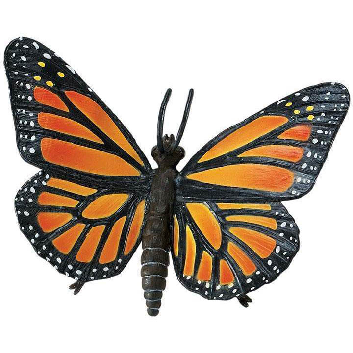 Safari Motýl Monarcha Stěhovavý