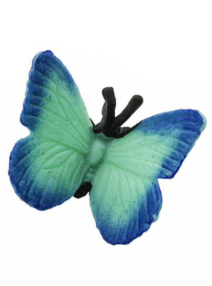 Safari Motýl 340522 Barva: MODRÁ