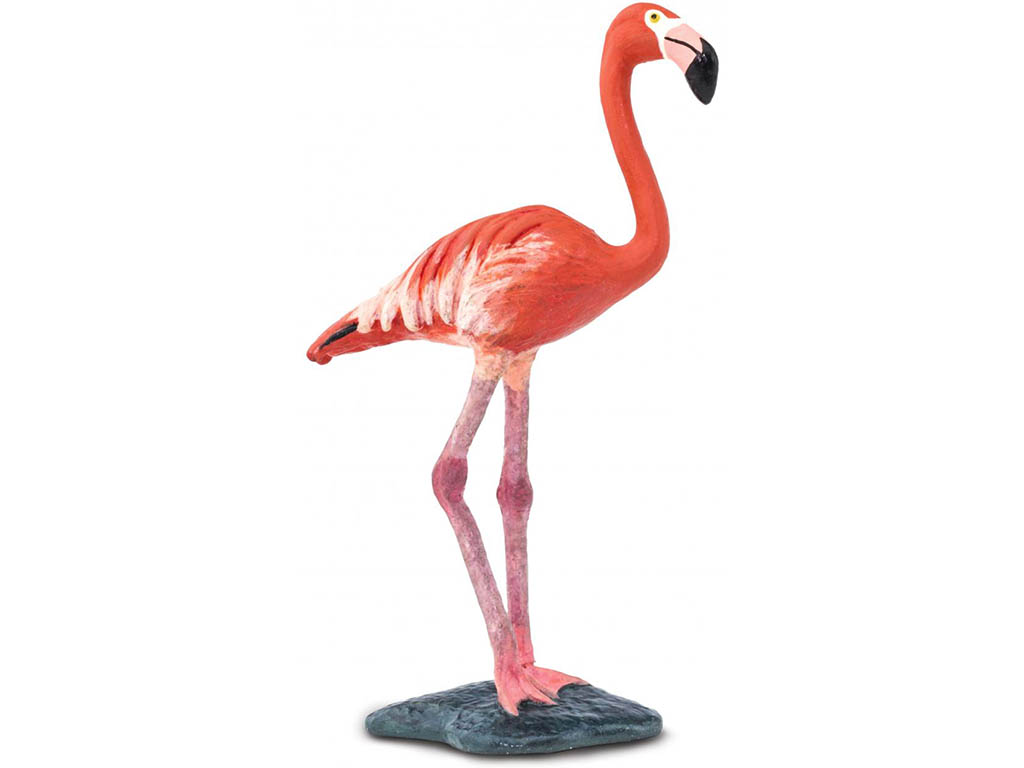 Safari Plameňák 100262