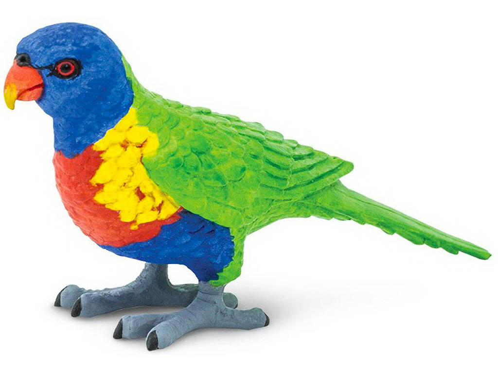 Safari Papoušek Lori 150229