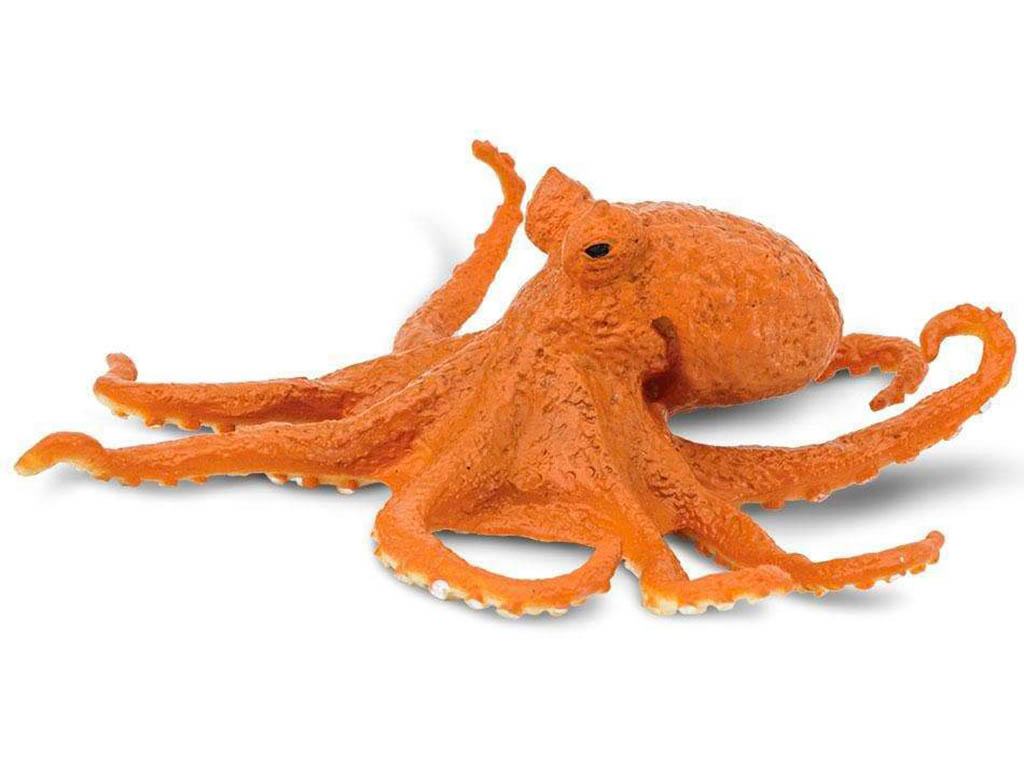 Safari Chobotnice 274429