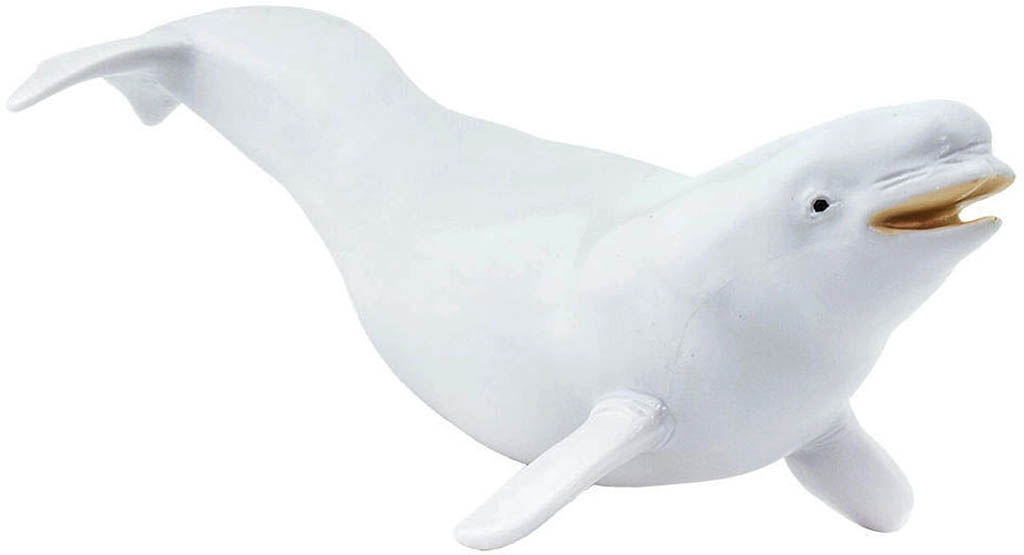 Safari Běluha severní 211002