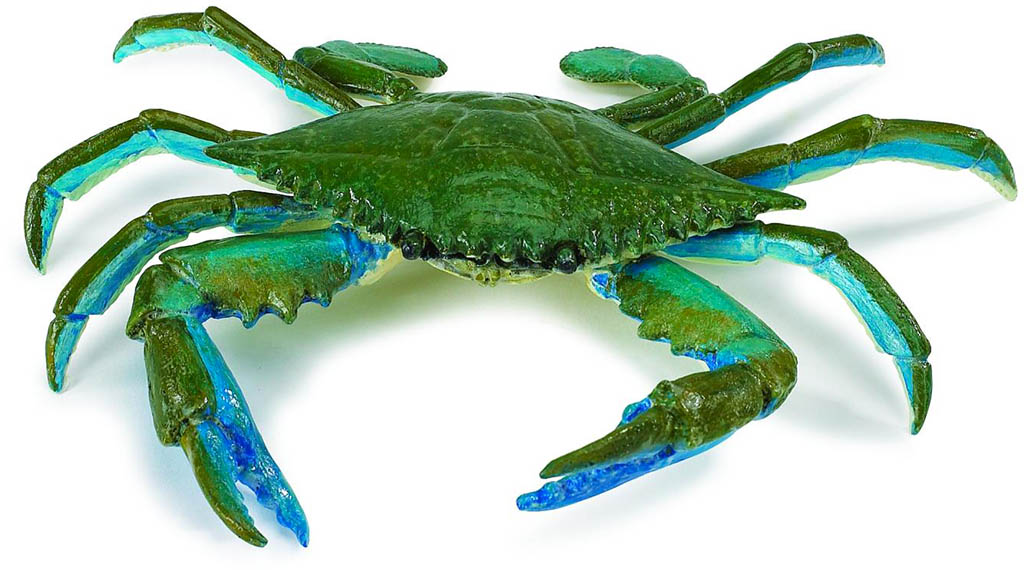 Safari Krab modrý 269729