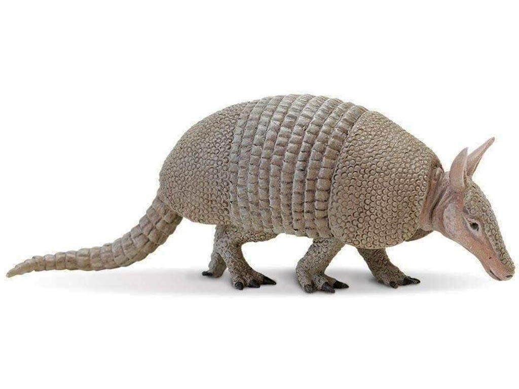 Safari Pásovec 262829