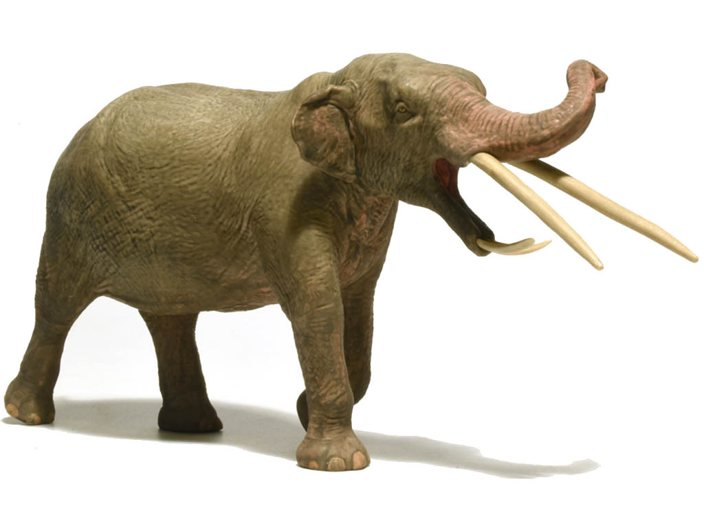 EOFAUNA Konobelodon 1:35