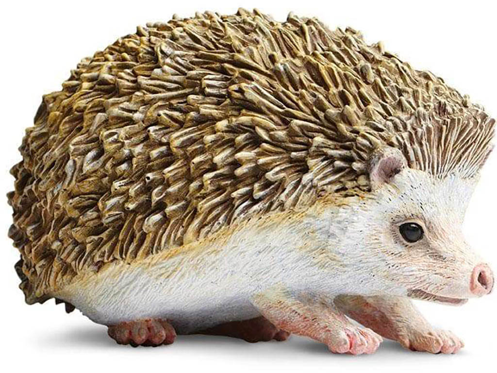 Safari Ježek 261129