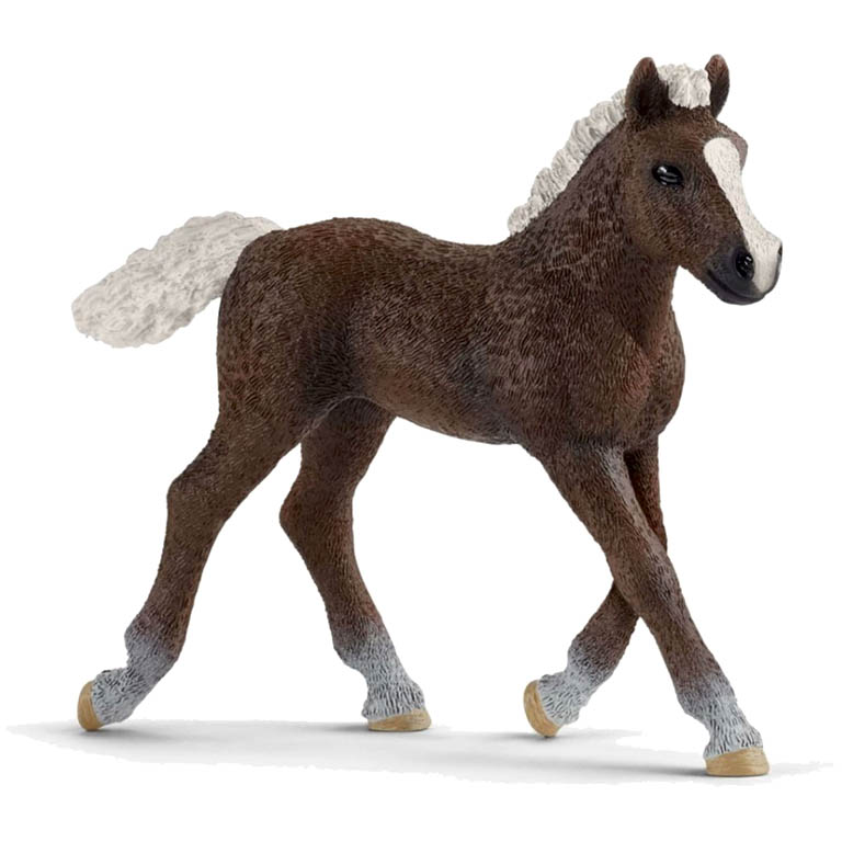 Schleich Schwarzwaldský kůň hříbě 13899