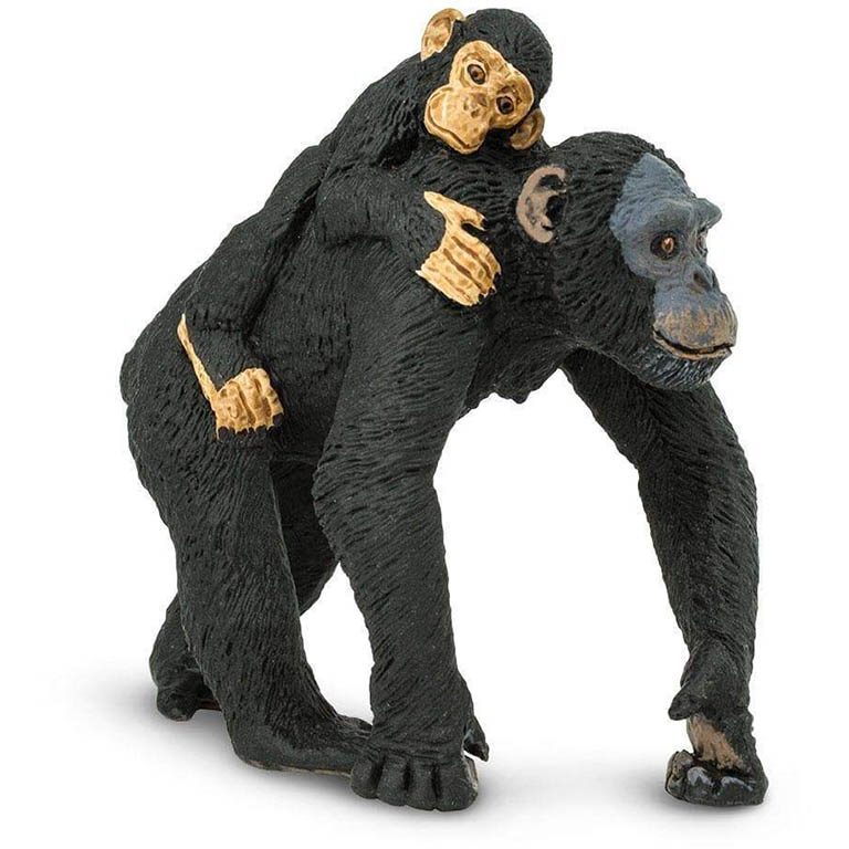 Safari Šimpanz s mládětem 295929