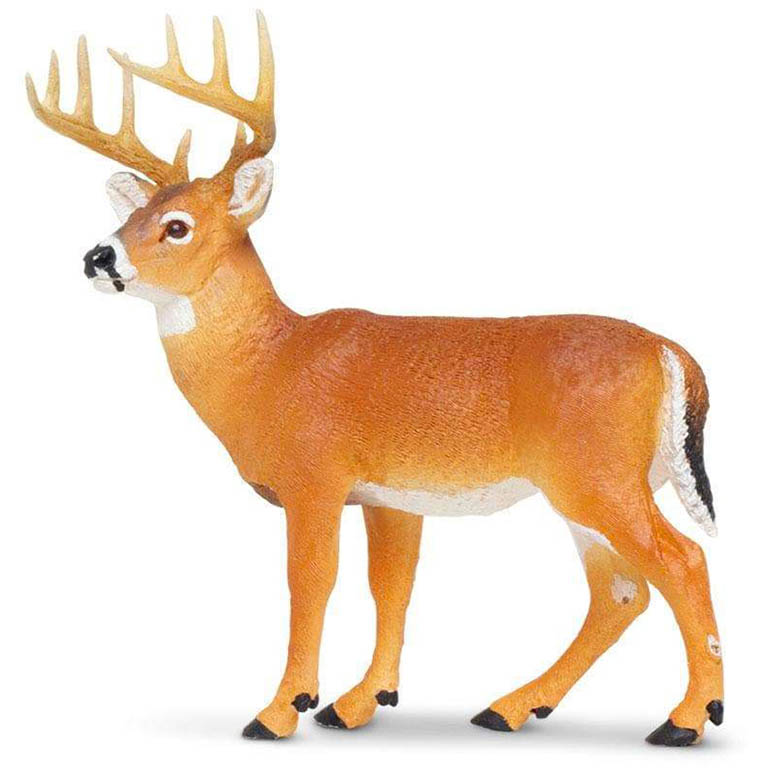 Safari Jelen běloocasý 180029