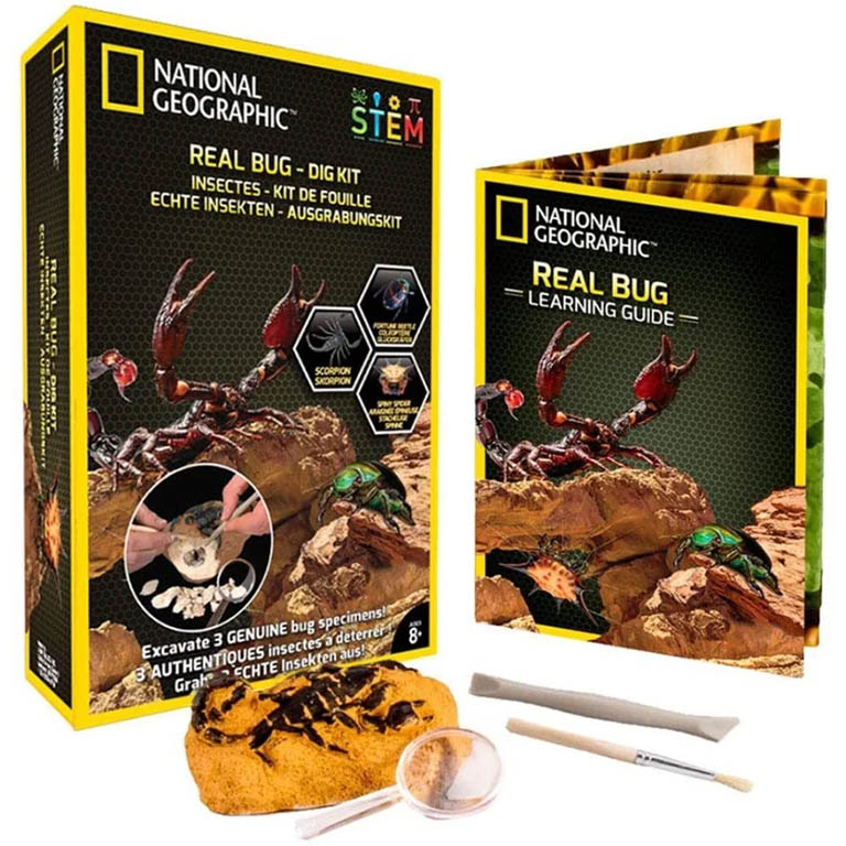 Vykopávková sada National Geographic Real bug dig kit