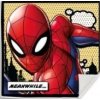 Kouzelný ručník Marvel – Spider-Man / Avengers