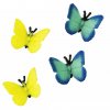Model Motýl