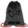 Vak na záda Spider-Man Premium 46 × 37 cm