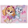 Dětské prostírání Paw Patrol Skye a Everest