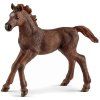 Figurka Schleich Horse Club hříbě anglického plnokrevníka 13857