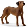 Schleich Rhodéský ridgeback 13895