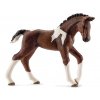 Schleich Trakehner hříbě 13758