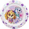 Dětský talíř Paw Patrol 22 cm plastový