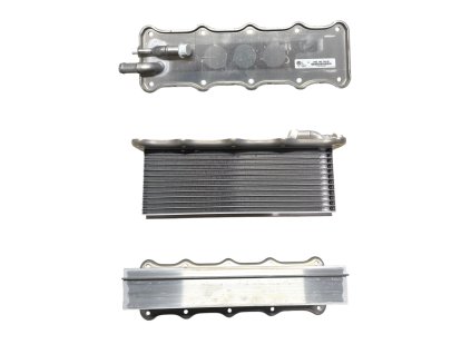 Photoroom 20250128 150839