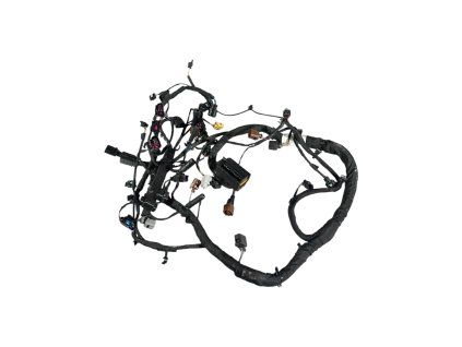 Photoroom 20251216 141126