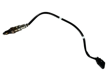 Photoroom 20260115 132149