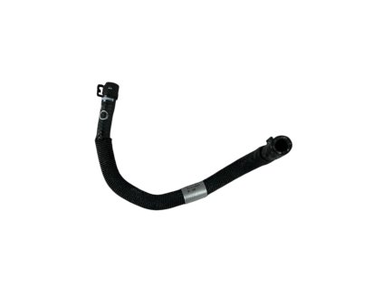 Photoroom 20260115 155602