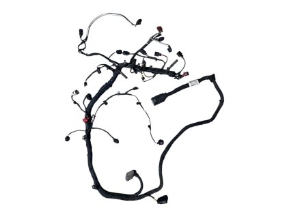 Photoroom 20260119 123047