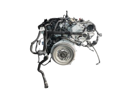 Photoroom 20260119 133845