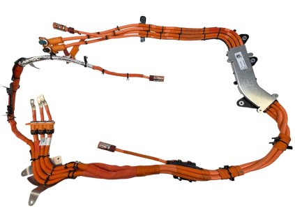 Photoroom 20260128 134445