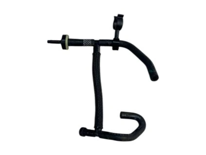 Photoroom 20260203 152141