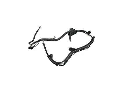 Photoroom 20260226 134232