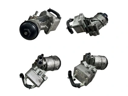 Photoroom 20260312 125922