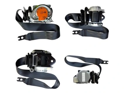 Photoroom 20260318 134803