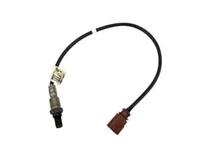 Photoroom 20241211 140602