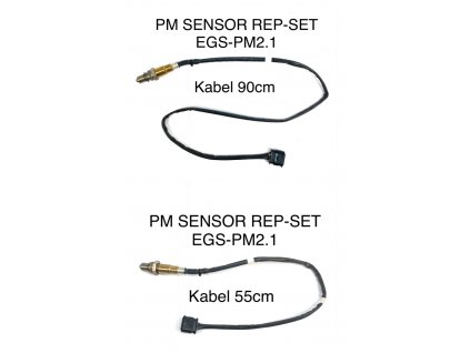 PM senzor REP-SET EGS-PM2.1 (Délka 90cm)