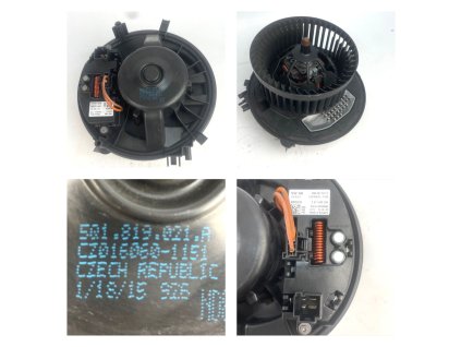 PHOTO 2021 09 10 12 16 34