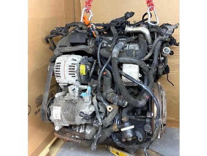 PHOTO 2021 08 02 11 31 00 (2)