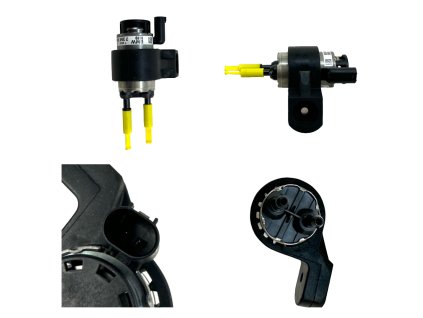 Photoroom 20240514 142243