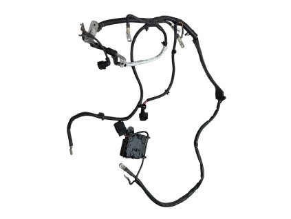 Photoroom 20240618 104204