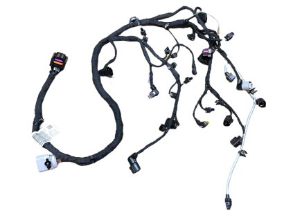 Photoroom 20240722 145000