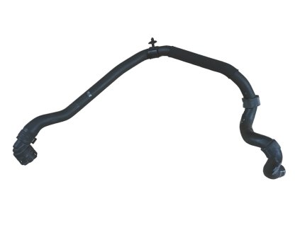 Photoroom 20240823 094547