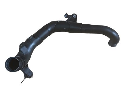 Photoroom 20240823 084528