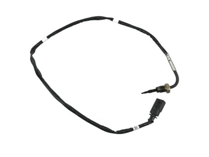 Photoroom 20241211 151157